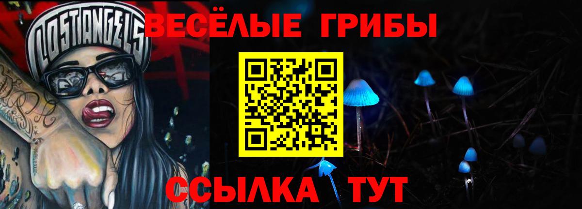 Галлюциногенные грибы MAGIC MUSHROOMS  Вход с VPN  Нальчик 